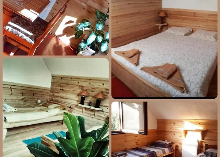 Woden Apartment