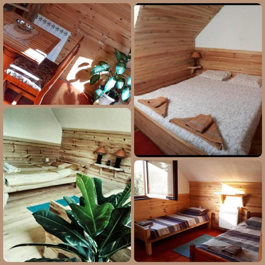 Apartment Woden *